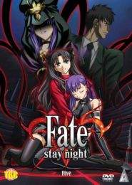 Fate Stay 5