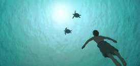 the red turtle still